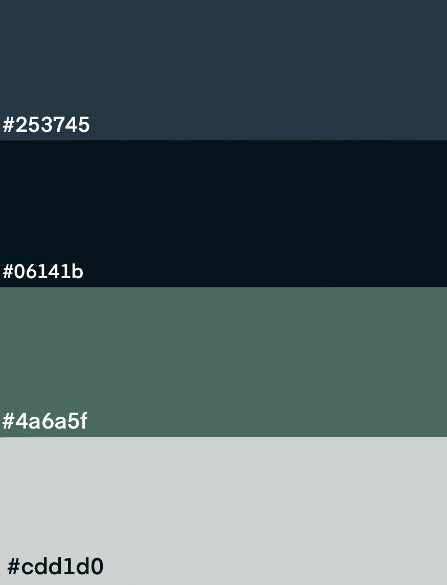 Primary palette for website