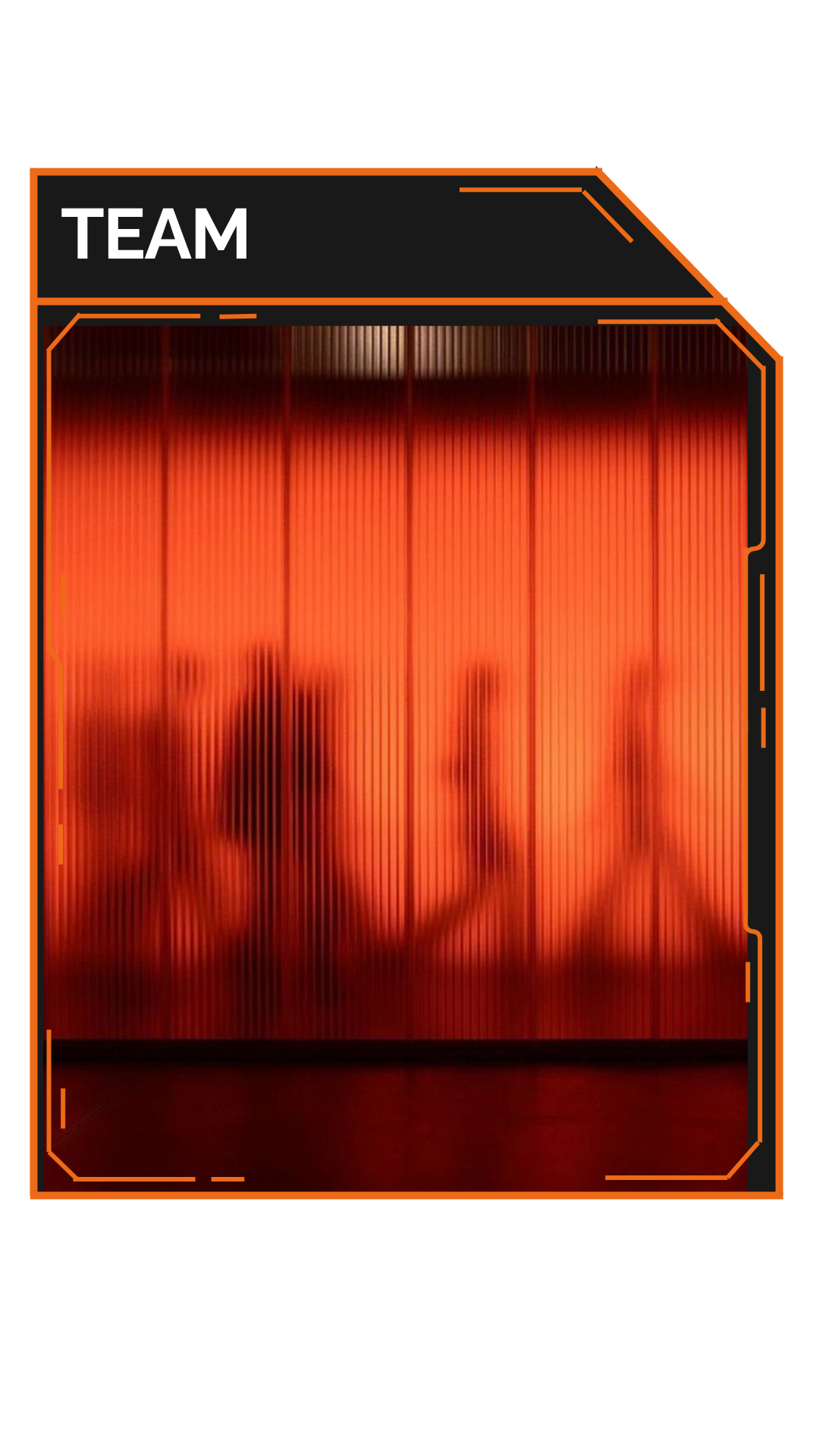 Our talented team members